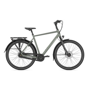 GAZELLE Chamonix C8 HEREN Clay Green Mat 61cm 2024