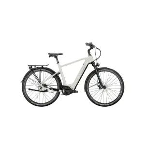 VICTORIA eManufaktur 11.8 Heren Agate Grey 54cm 2022