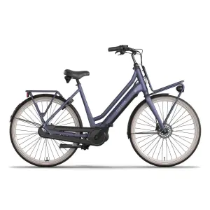CORTINA DAMES Purple Grape Matte 52cm 2025