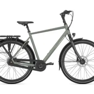 GAZELLE Chamonix C8 HEREN Clay Green Mat 57cm 2024