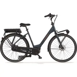 Cortina E-Common Family Bosch ActiveLine+