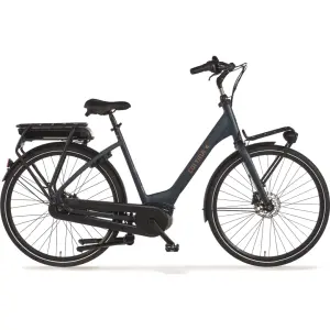Cortina E-Common Family Bosch ActiveLine+